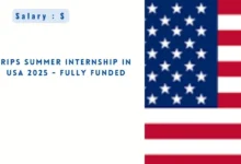 RIPS Summer Internship in USA