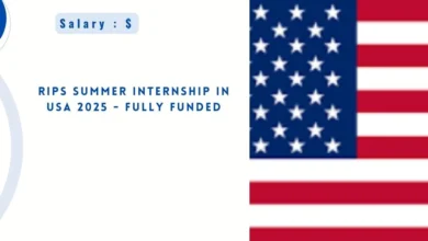 RIPS Summer Internship in USA