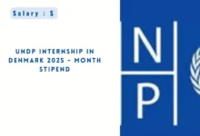 UNDP Internship in Denmark