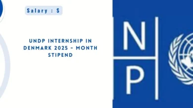 UNDP Internship in Denmark