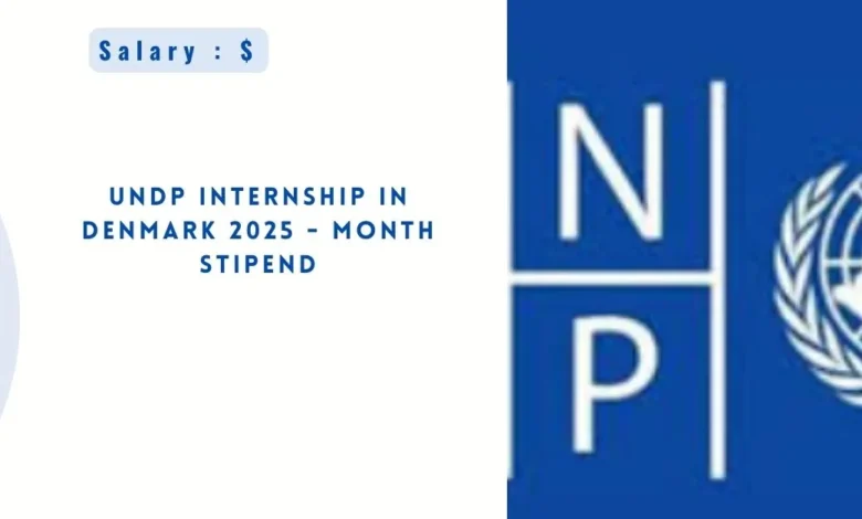 UNDP Internship in Denmark