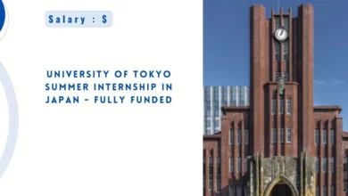 University of Tokyo Summer Internship