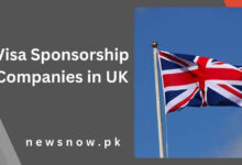 Visa Sponsorship Companies in UK