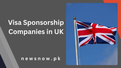 Visa Sponsorship Companies in UK