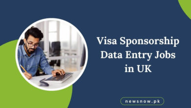 Visa Sponsorship Data Entry Jobs in UK