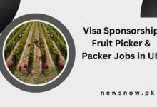 Visa Sponsorship Fruit Picker & Packer Jobs in UK