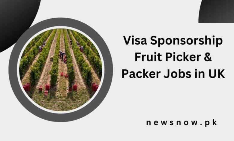 Visa Sponsorship Fruit Picker & Packer Jobs in UK