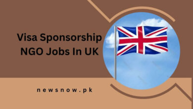 Visa Sponsorship NGO Jobs In UK