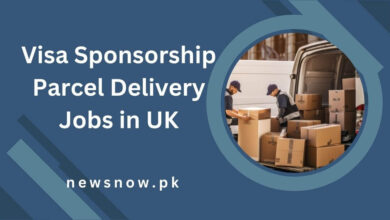 Visa Sponsorship Parcel Delivery Jobs in UK