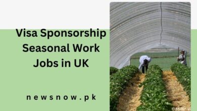 Visa Sponsorship Seasonal Work Jobs in UK