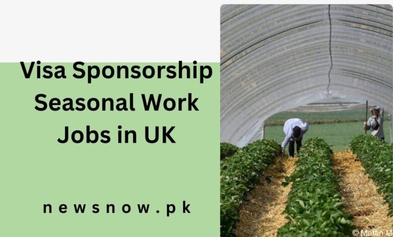 Visa Sponsorship Seasonal Work Jobs in UK