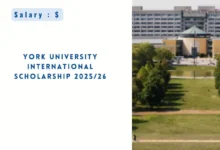 York University International Scholarship