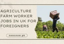 Agriculture Farm Worker Jobs in UK for Foreigners