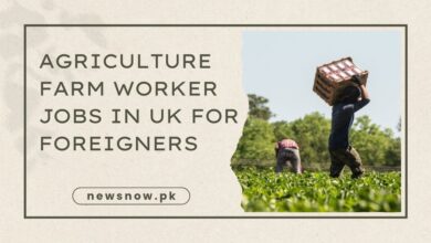 Agriculture Farm Worker Jobs in UK for Foreigners