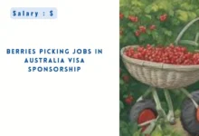 Berries Picking Jobs in Australia