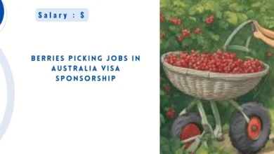 Berries Picking Jobs in Australia