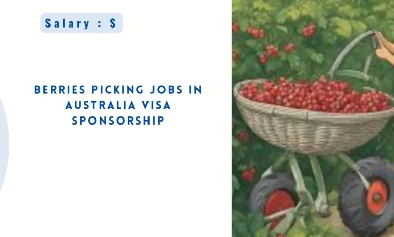 Berries Picking Jobs in Australia