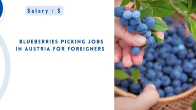 Blueberries Picking Jobs in Austria