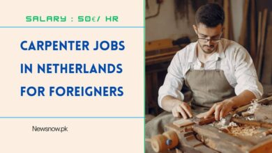 Carpenter Jobs in Netherlands for Foreigners