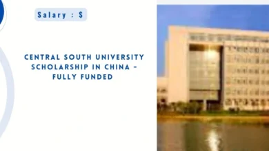 Central South University Scholarship in China