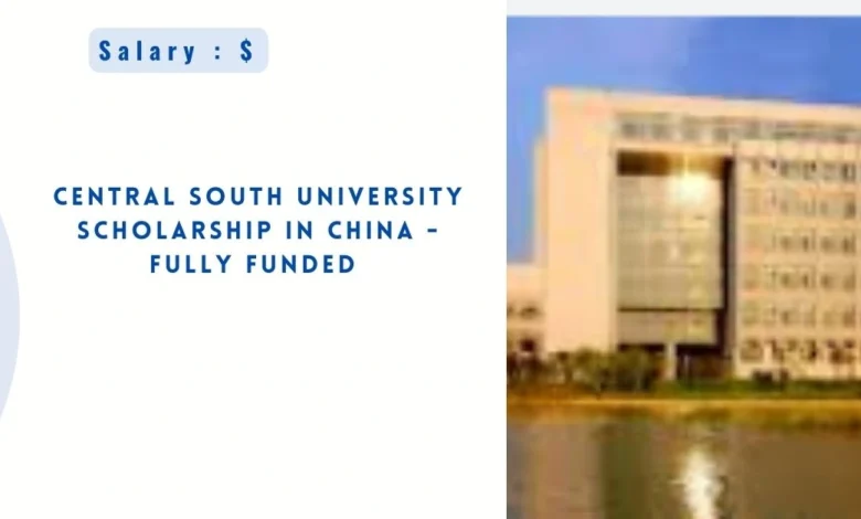 Central South University Scholarship in China