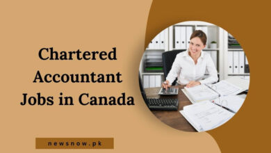 Chartered Accountant Jobs in Canada