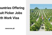 Countries Offering Fruit Picker Jobs with Work Visa