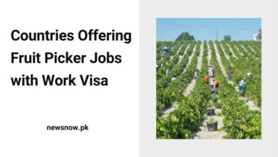 Countries Offering Fruit Picker Jobs with Work Visa