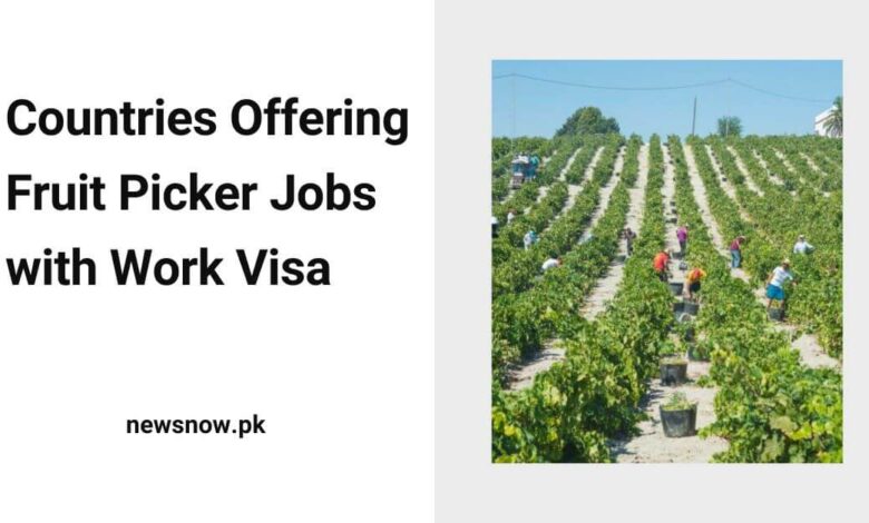 Countries Offering Fruit Picker Jobs with Work Visa