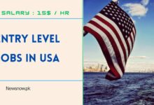 Entry Level Jobs in USA