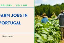 Farm Jobs in Portugal