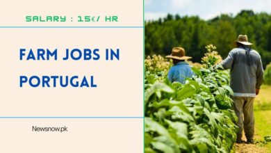 Farm Jobs in Portugal