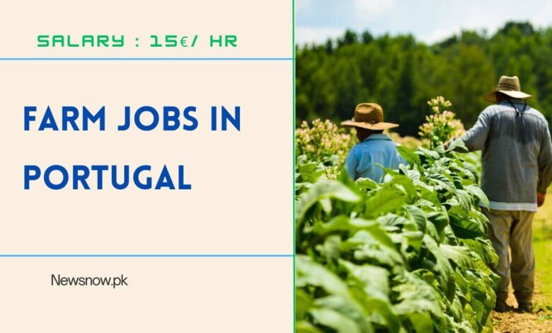 Farm Jobs in Portugal