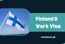 Finland D Work Visa