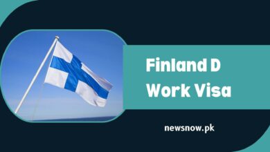 Finland D Work Visa