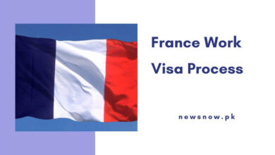 France Work Visa Process