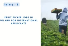 Fruit Picker Jobs in Poland