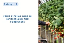 Fruit Picking Jobs in Switzerland