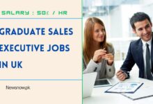 Graduate Sales Executive Jobs in UK