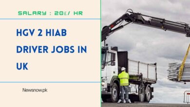 HGV 2 HIAB Driver Jobs in UK