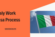 Italy Work Visa Process