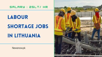 Labour Shortage Jobs in Lithuania