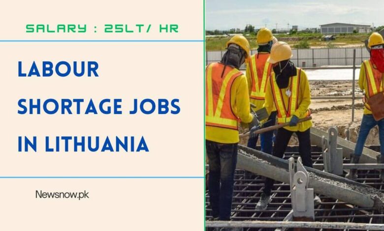 Labour Shortage Jobs in Lithuania