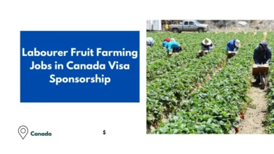 Labourer Fruit Farming Jobs in Canada