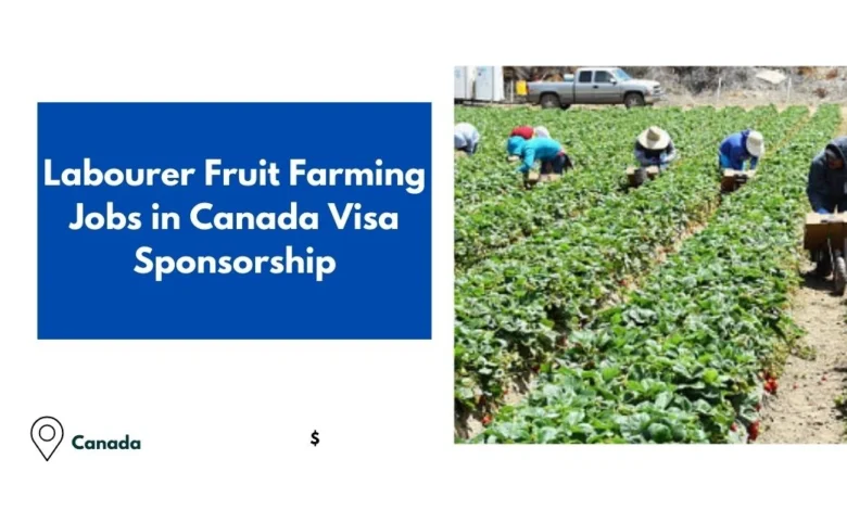 Labourer Fruit Farming Jobs in Canada