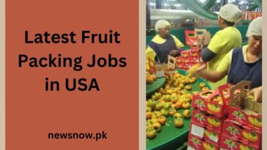 Latest Fruit Packing Jobs in USA