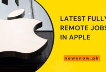 Latest Fully Remote Jobs in Apple