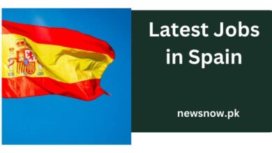 Latest Jobs in Spain