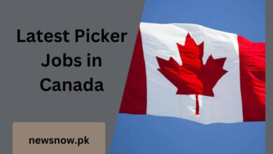 Latest Picker Jobs in Canada