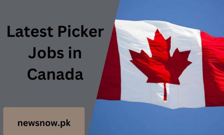 Latest Picker Jobs in Canada